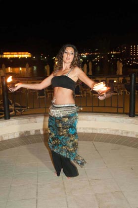 ITC 2013 Industry Dinner