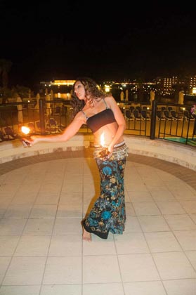 ITC 2013 Industry Dinner