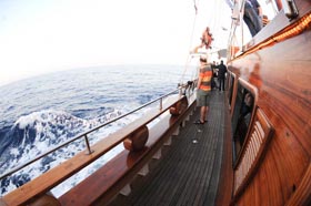 ITC 2013 Networking Cruise