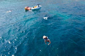 ITC 2015 networking cruise