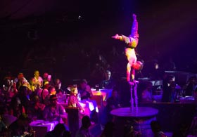 ITC 2016 evening show