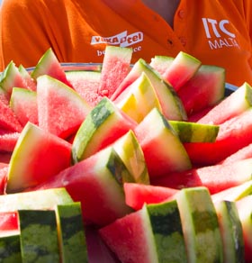 ITC 2017 networking cruise