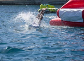 ITC 2017 networking cruise